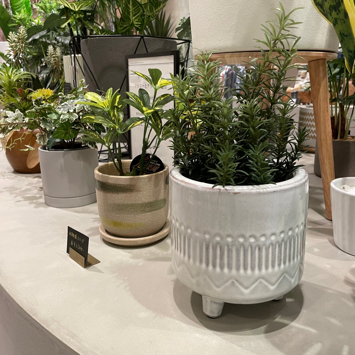 【and SEASON select】ローズマリーポット