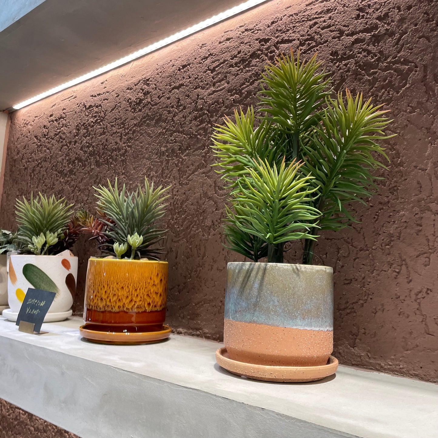 【and SEASON select】セネシオポット30