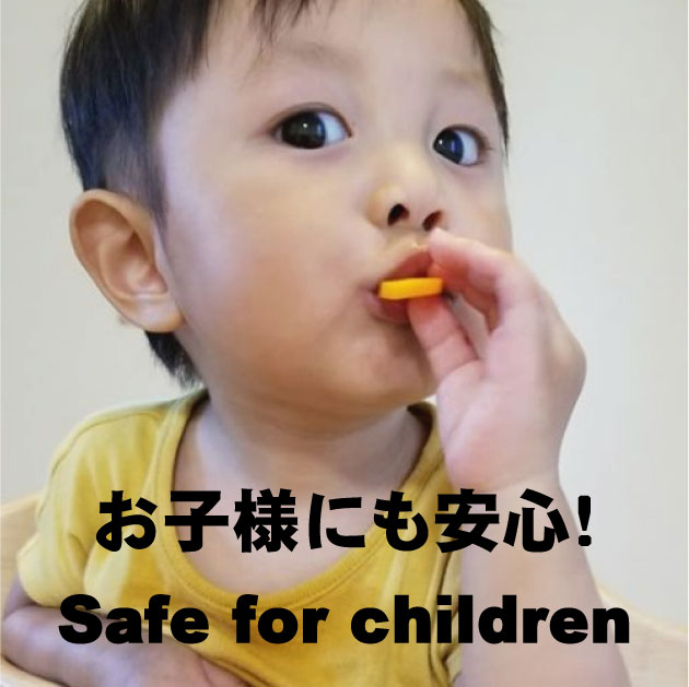 【福岡】ichimaru ドライフルーツ トーストバナナチップ