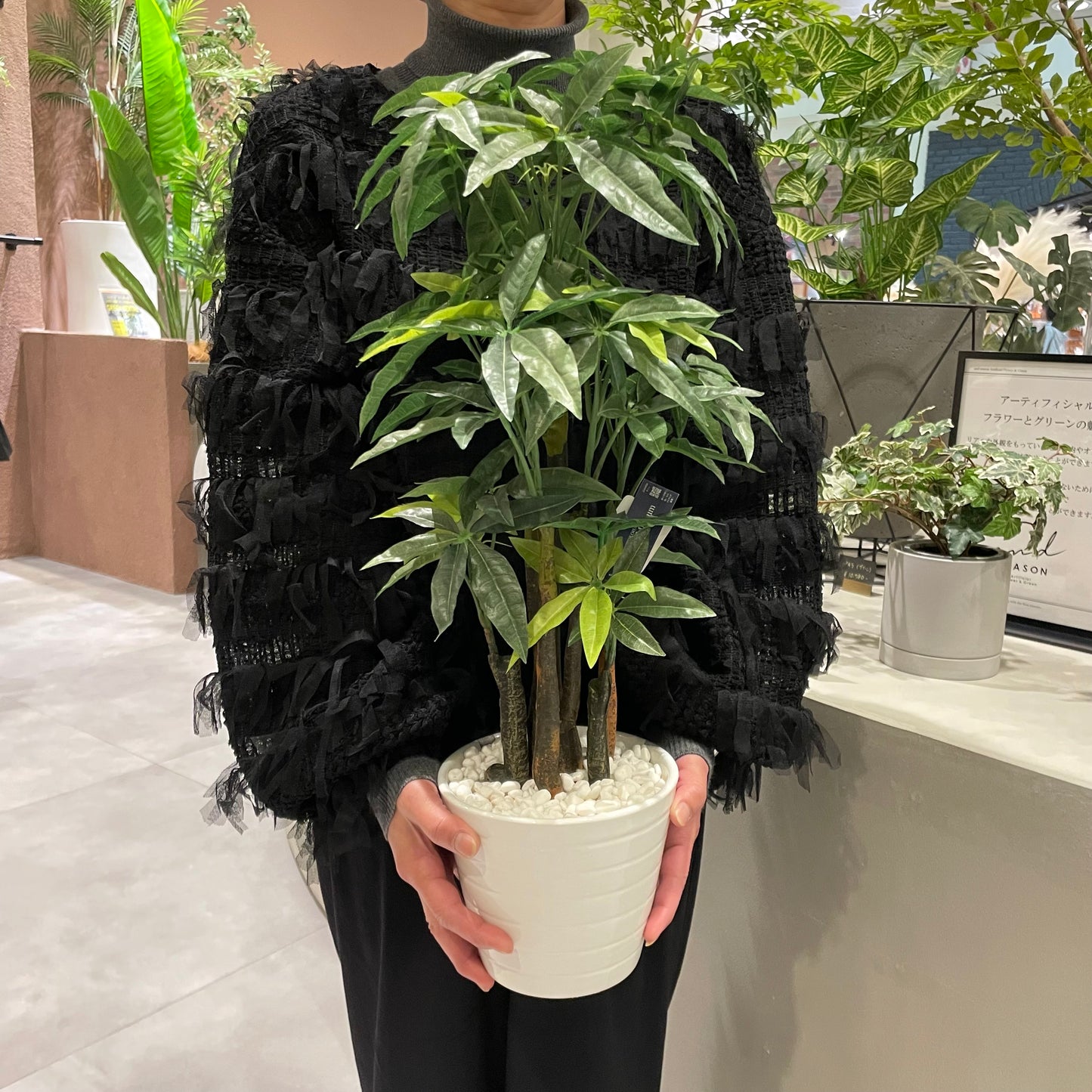 【and SEASON select】パキラポット