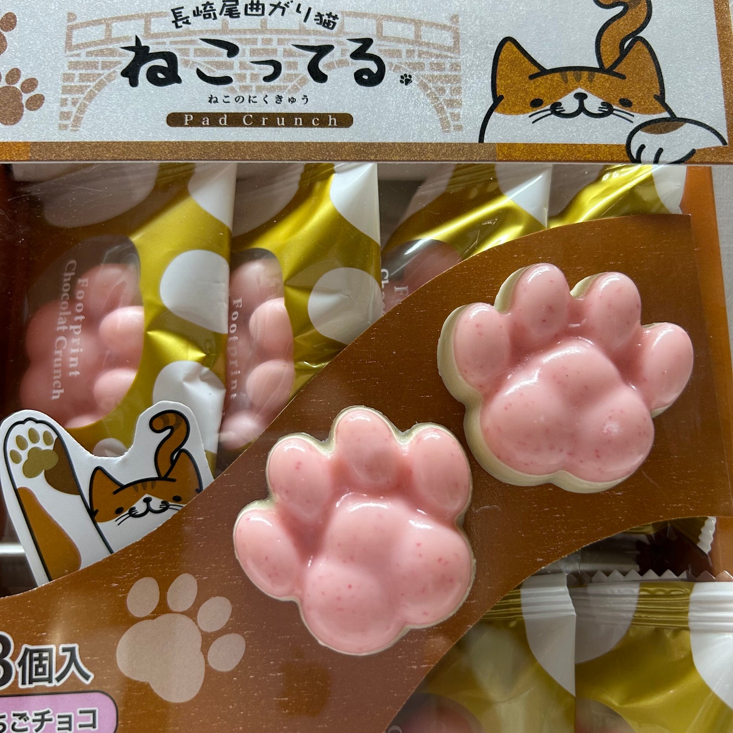 【長崎】ひろたか 尾曲がり猫 ねこってる