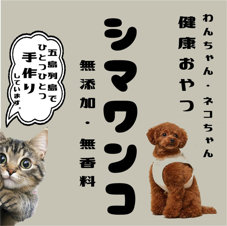 島わんこ