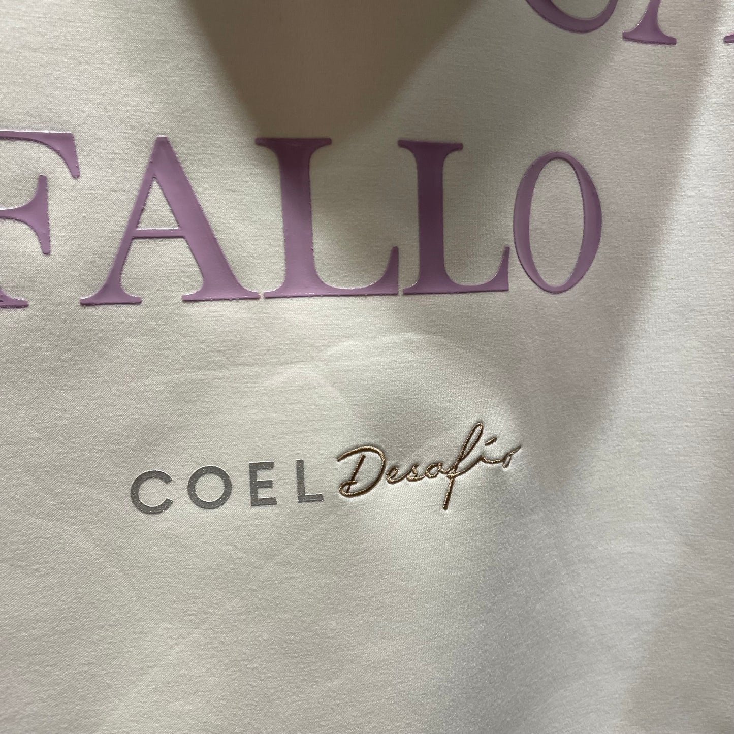 【COEL】COEL×Desafioバックロゴフーディ