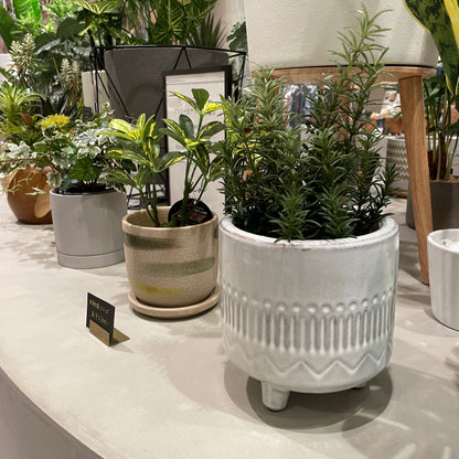 【and SEASON select】ローズマリーポット