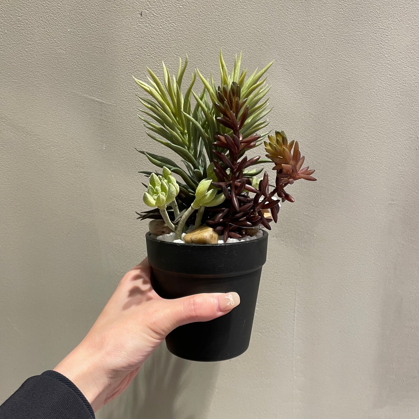 【and SEASON select】ミニアレンジメントポットSC