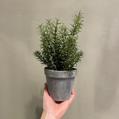 【and SEASON select】ローズマリーポット