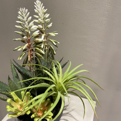 【and SEASON select】アロエホワイト花ポット