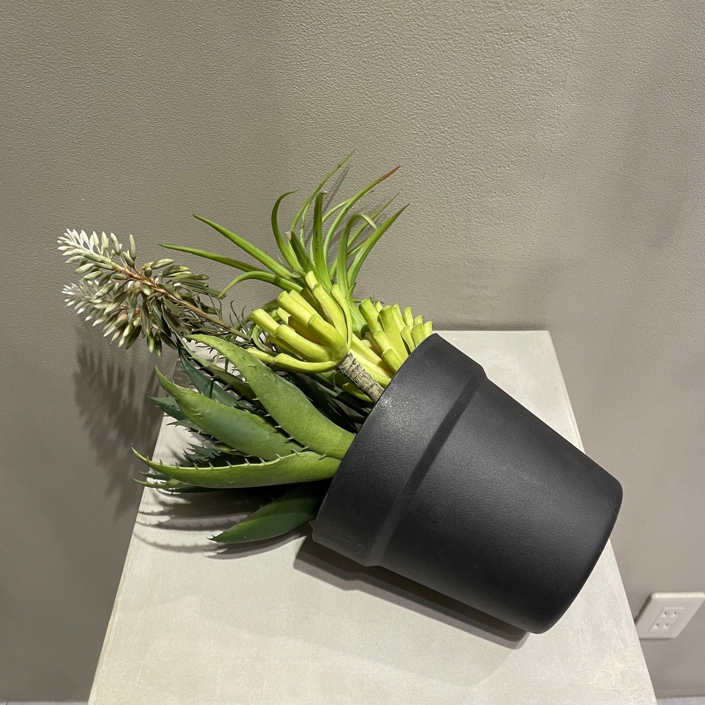 【and SEASON select】アロエホワイト花ポット