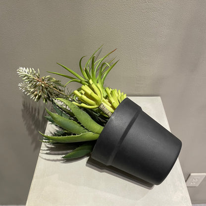 【and SEASON select】アロエホワイト花ポット