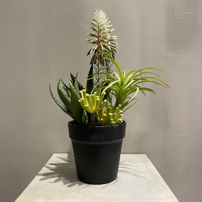 【and SEASON select】アロエホワイト花ポット