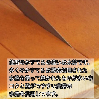 【長崎】松井老舗 豊潤カステラ 10カット