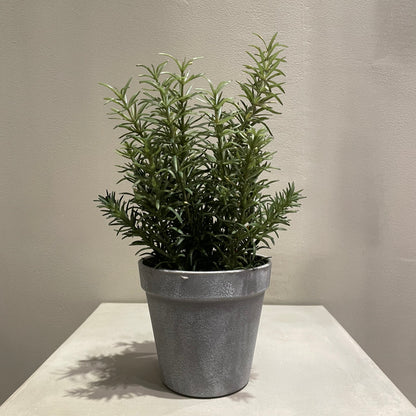 【and SEASON select】ローズマリーポット