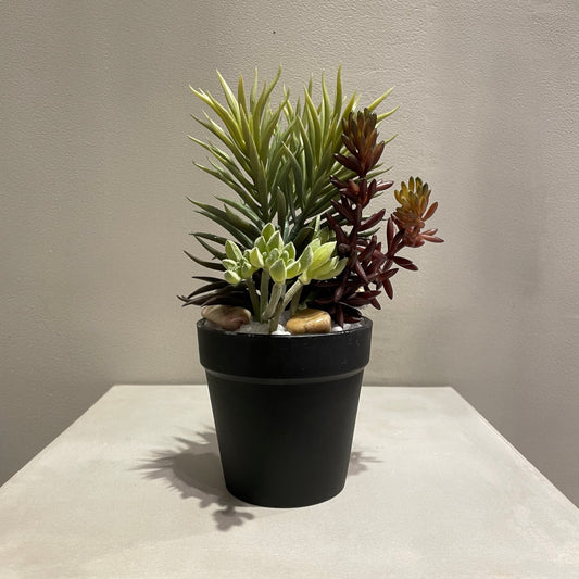 【and SEASON select】ミニアレンジメントポットSC