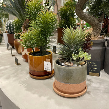 【and SEASON select】ミニアレンジメントポットSC