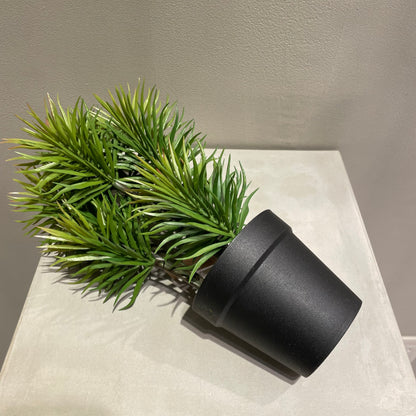 【and SEASON select】セネシオポット30