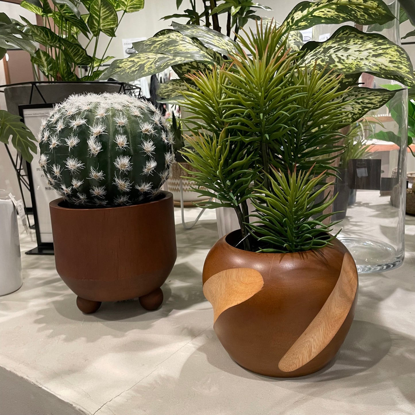 【and SEASON select】セネシオポット30