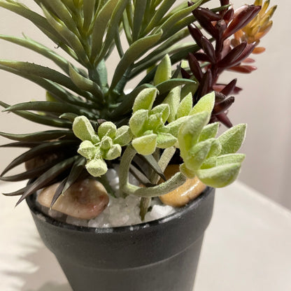 【and SEASON select】ミニアレンジメントポットSC