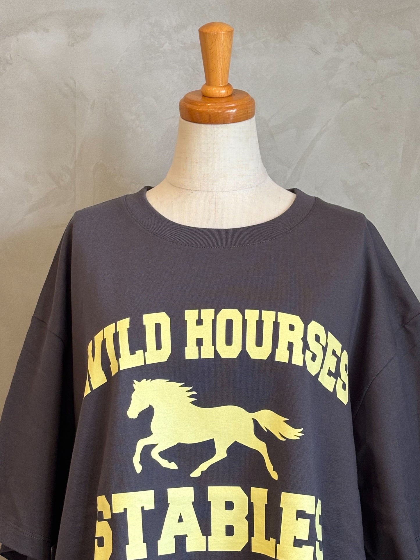 【ALL HOURS】COMA WILD HOURSES