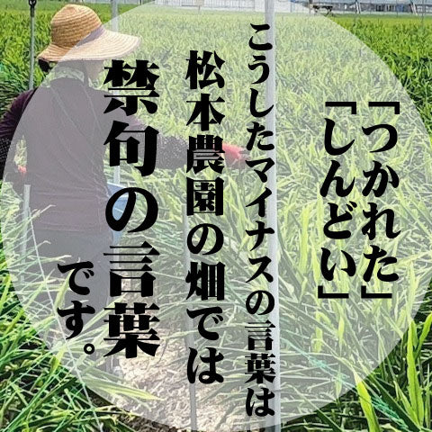 【ギフト】文ちゃん麵つゆ「極」510ml＆そうめん薬味セット（おかかdeしょうが）